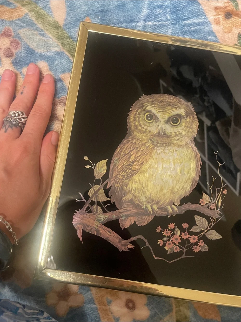 Framed Golden Owl Wall Art - Black Background